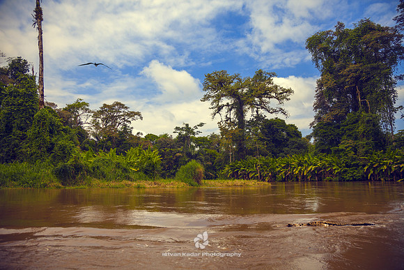 Caño Palma Wildlife Reserve