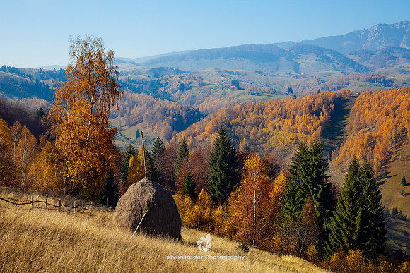 Agriculture, Autumn, "Beauty In Nature", "Carpathian Mountain Range", "Color Image", Copse, Day, Fence, Fall, Field, Foliage, Grass, Haystack, Hill, Horizontal, Landscape, Meadow, Mountains, "No Peopl