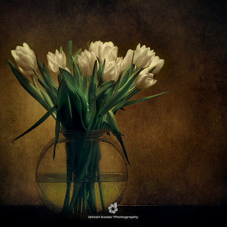 Mother's Bouquet