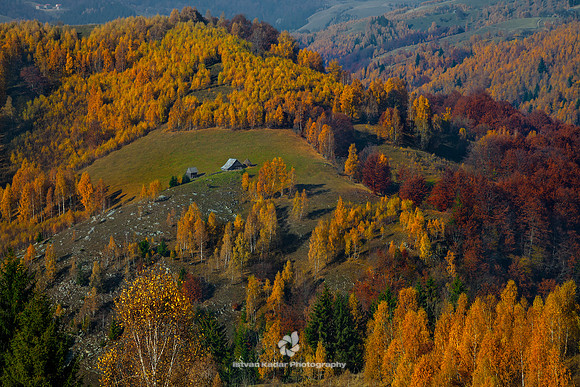 Autumn, "Beauty In Nature", "Carpathian Mountain Range", "Color Image", Copse, Day, Evergreen, Fall, Field, Foliage, Grass, Hill, Home, Horizontal, House, Landscape, Meadow, Mountains, "No People", Ou