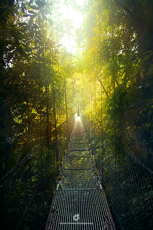 Arenal Hanging Bridges
