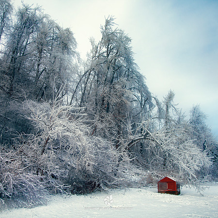 Little Red House with No Doors and No Windows and a Star Inside