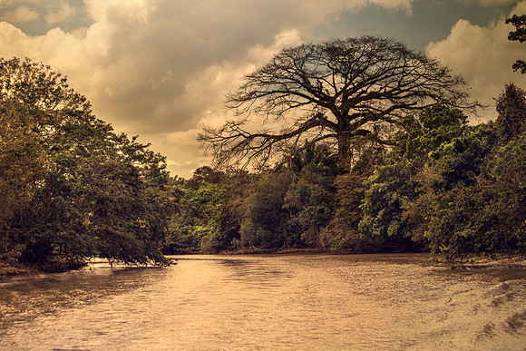Caño Negro Wildlife Refuge