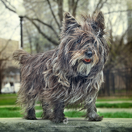 Winter Coat