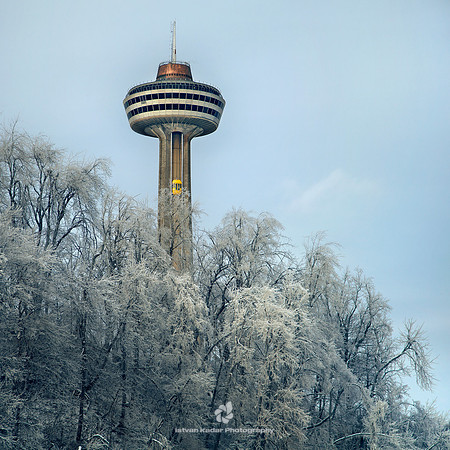 Skylon Tower - 2011