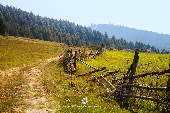 Pasture Fence