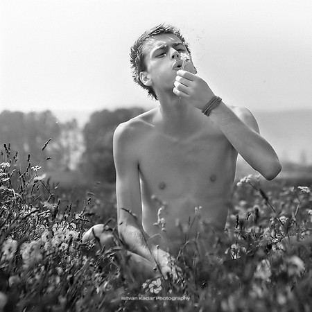 Summer Feelings II.