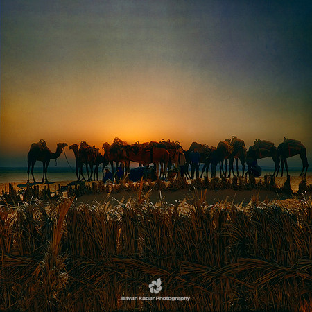 Caravan