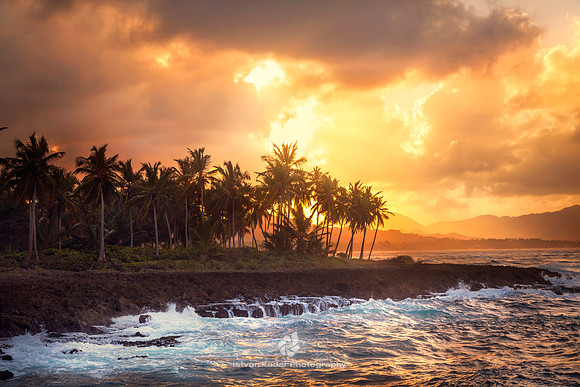 Bay, Beach, Caribbean, "Caribbean Sea", Coastline, "Coconut Palm Tree", Day, "Dominican Republic", Idyllic, Island, Landscape, Nature, Ocean, Outdoors, "Palm Tree", Peninsula, "Playa Aserradero", Reef