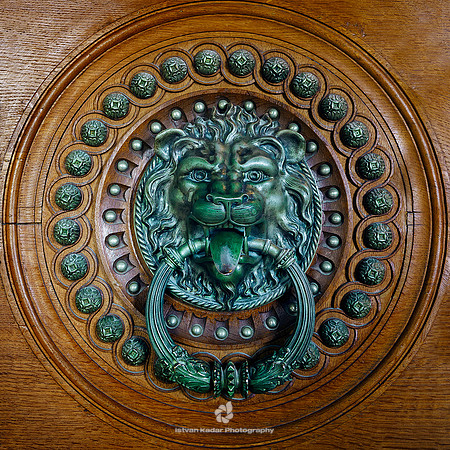 Bronze Lion Door Knocker