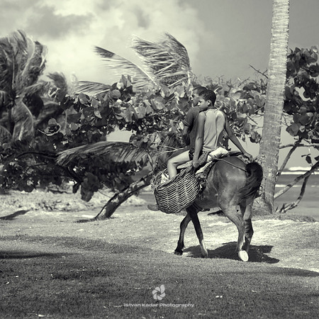 Father and Son in the Saddle