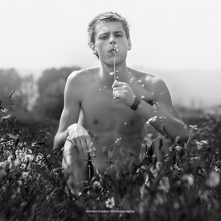 Summer Feelings III.