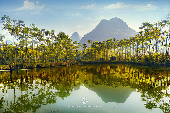 Wonders of the Natural World