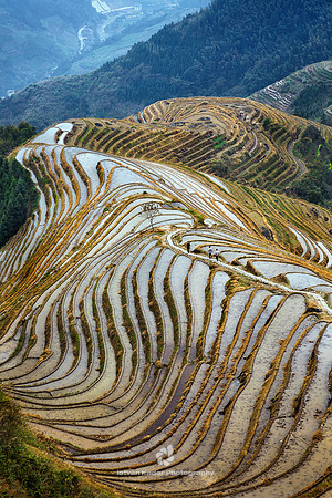 Ping'an Zhuang Rice Terraces