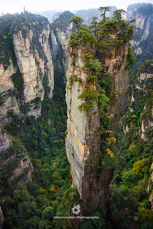 The Sandstone Peaks of Yuanjiajie