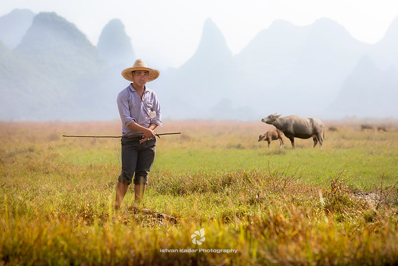Herdsman