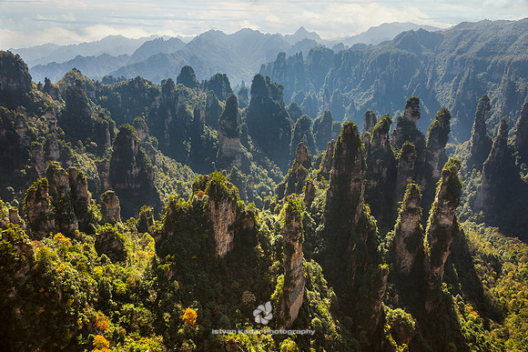 Zhangjiajie Sandstone Peak Forest