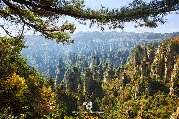 Autumn at Zhangjiajie National Forest Park