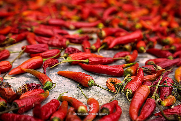 Red Hot Chilli Peppers