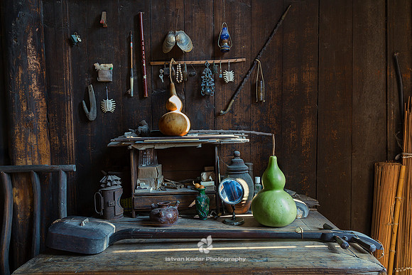 Still Life with a Sanxian