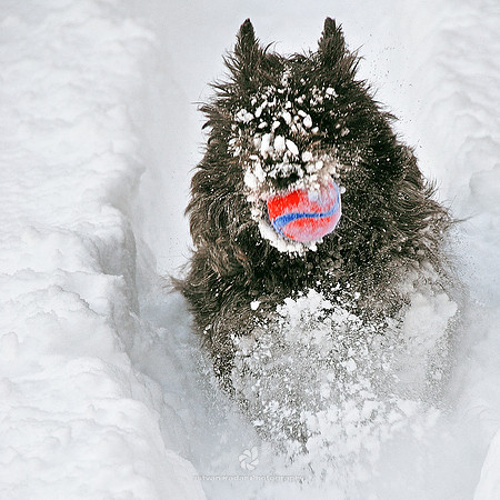 Snow Mop