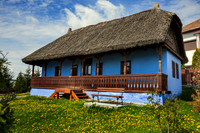 Thatched Roof House