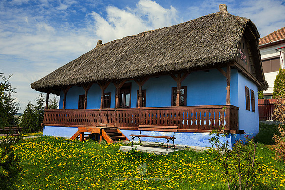 Thatched Roof House