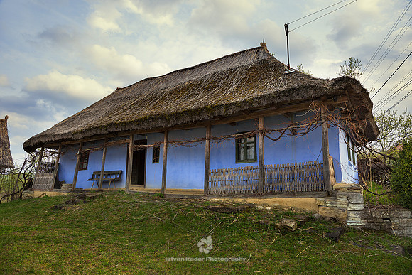 Thatched Roof House