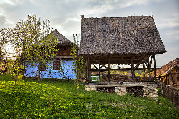 Thatched Roof Houses