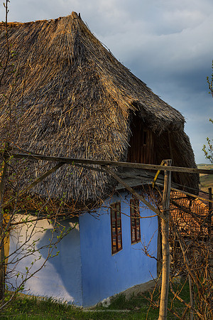 Thatched Roof House