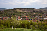 Orchard in Szék, Transylvania
