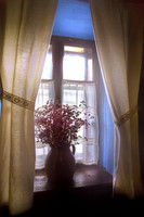 Wildflowers at Window