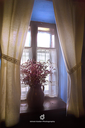 Wildflowers at Window
