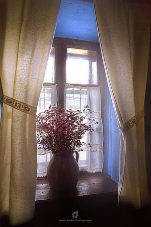 Wildflowers at Window