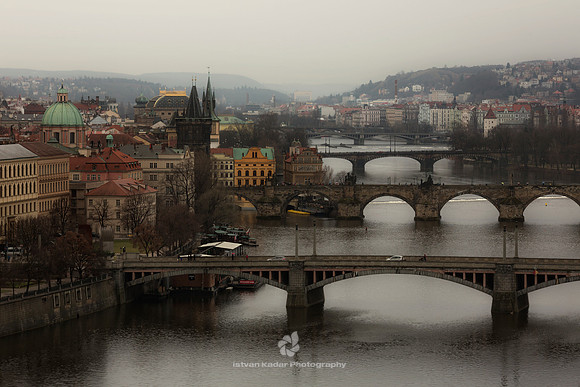 The Bridges of Prague
