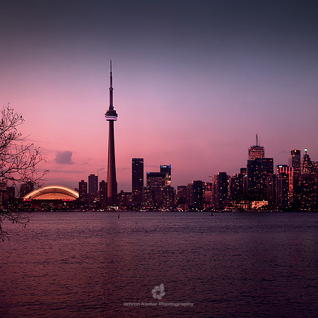 Purple Dusk - 2010