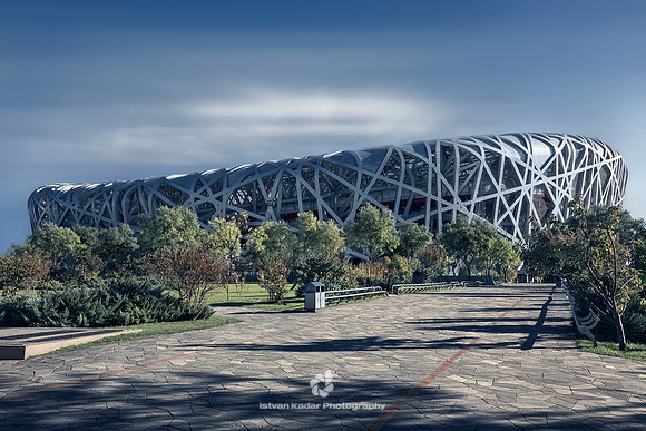 Bird's Nest
