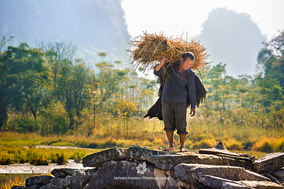 Chinese Farmer