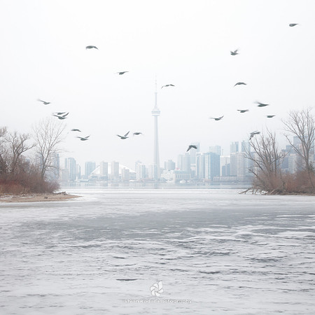 Hazy Shade Of Winter - 2010