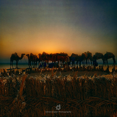 Caravan