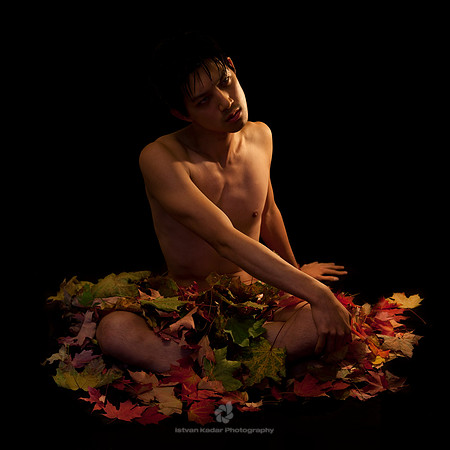 Dead Summer's Soul