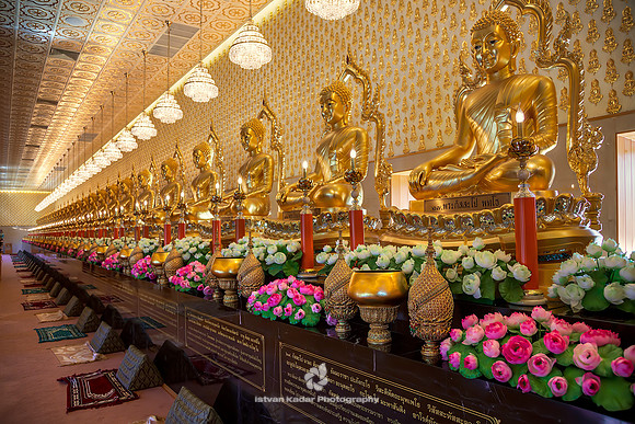 Row of Buddhas at Muang Boran, Thailand.