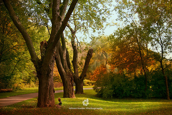 Squirrel's Home - 2011