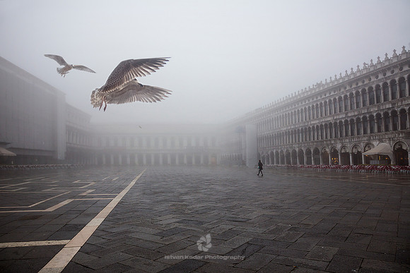 Early Birds