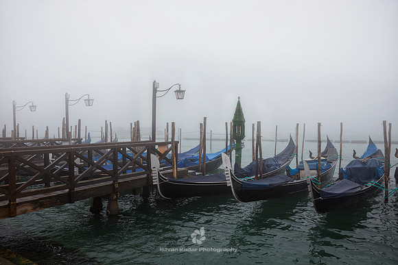 Silence of the Harbour