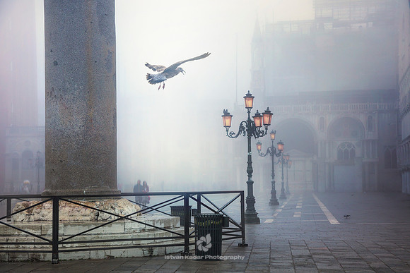 Piazza San Marco