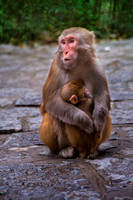 Mom's Hug