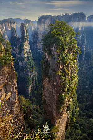 Sandstone Pillars