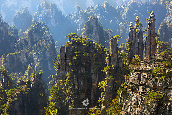 Zhangjiajie Sandstone Peak Forest Geopark