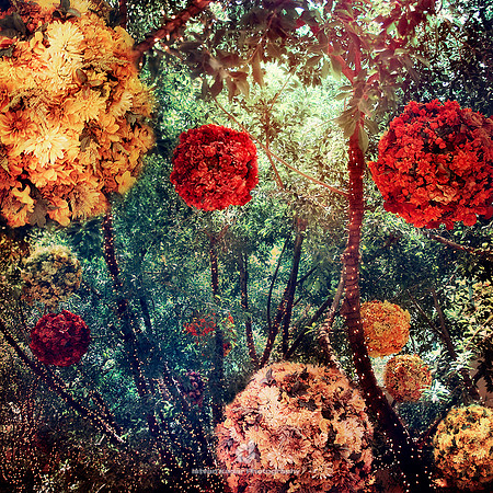 Flower Balls